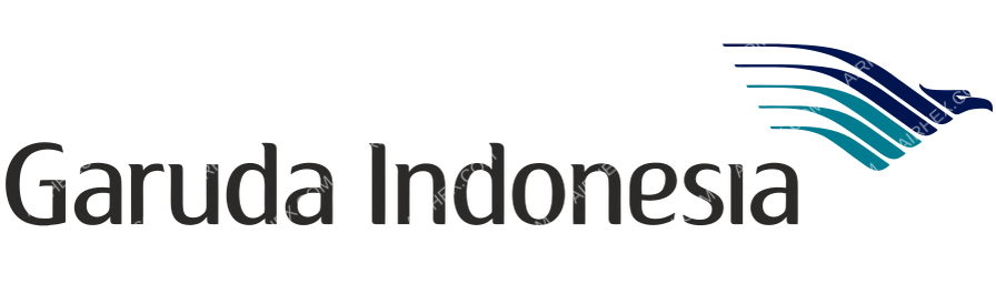 Airline partner